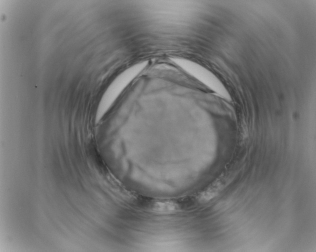 X0000088200376200706121746