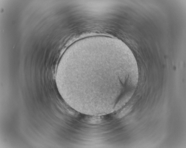 X0000088200384200706121747