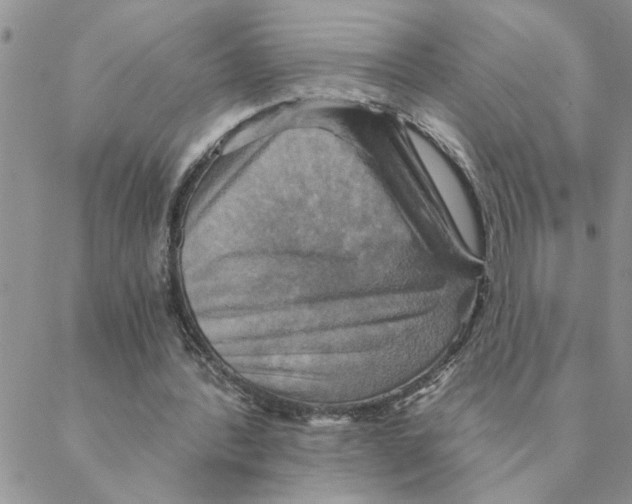 X0000088200388200706121746
