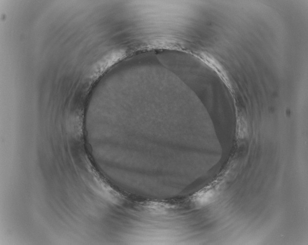 X0000088200393200706121746