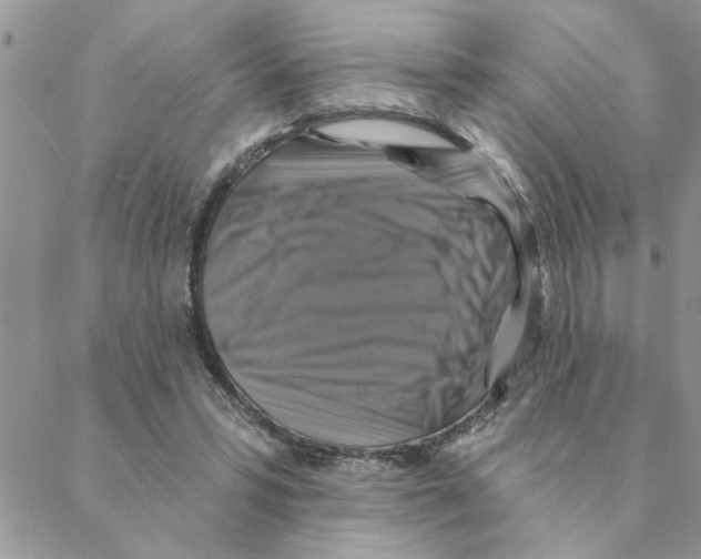 X0000088200399200706121746
