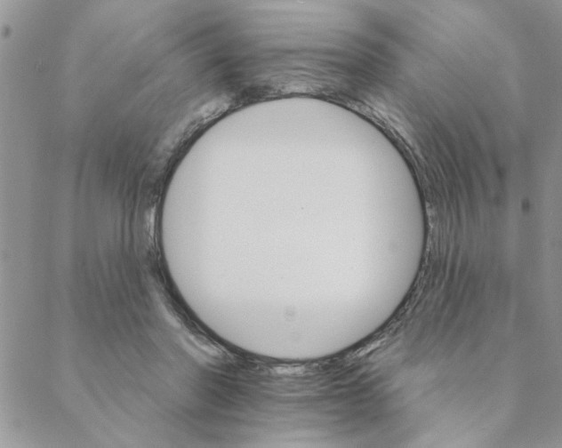 X0000088200406200706121745