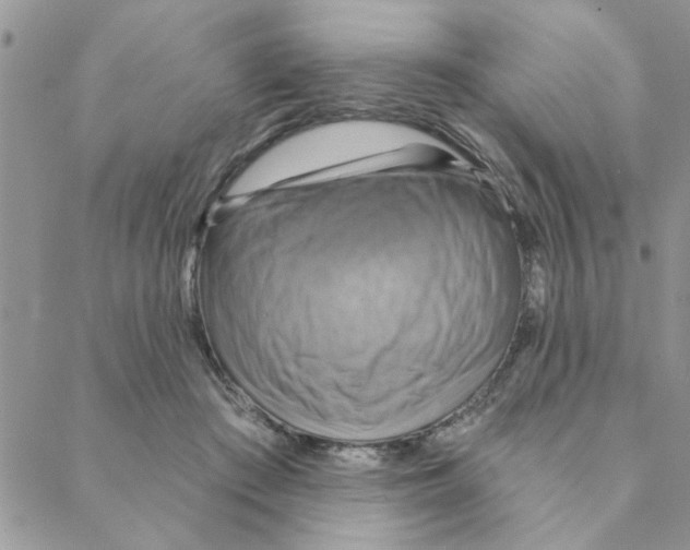 X0000088200409200706121745