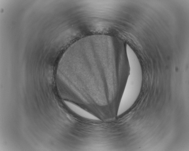 X0000088200416200706121745