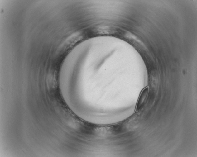 X0000088200422200706121745