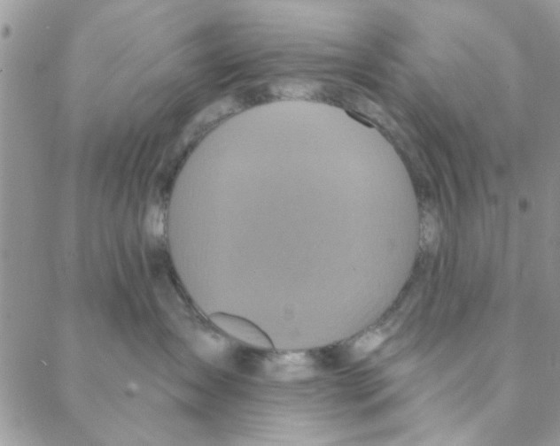 X0000088200431200706121745