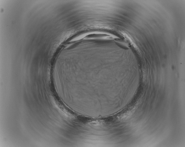 X0000088200447200706121744