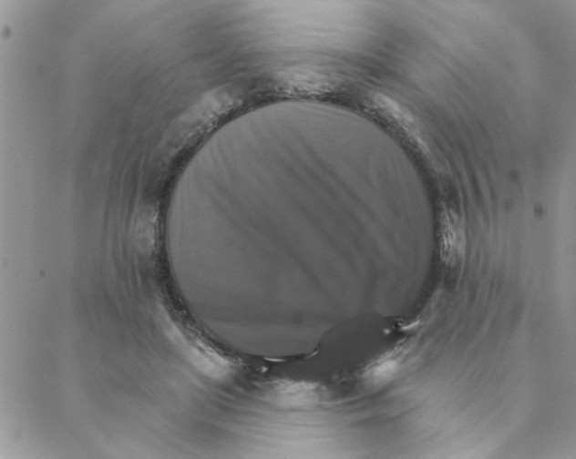 X0000088200451200706121745