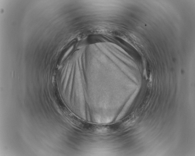 X0000088200456200706121745