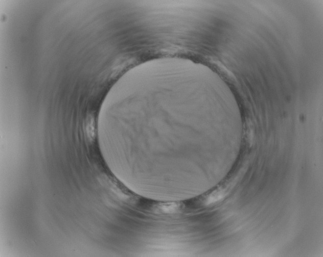 X0000088200479200706121745
