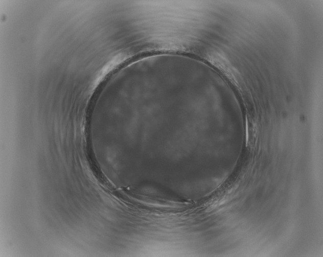 X0000088200483200706121744