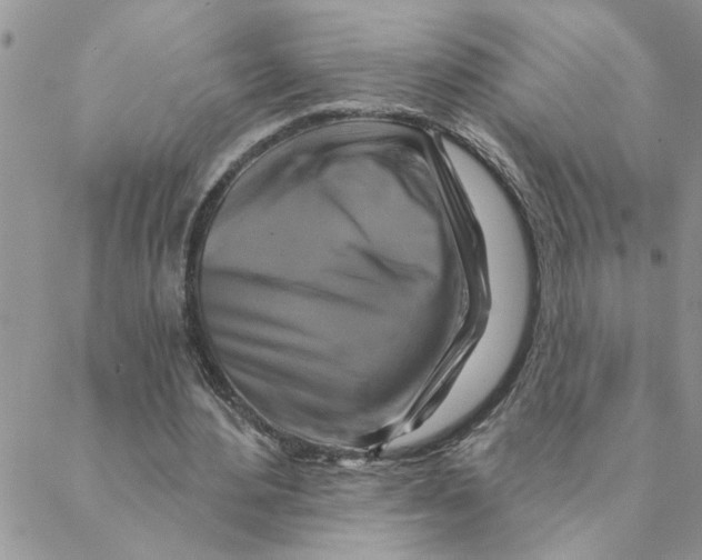 X0000088200484200706121744