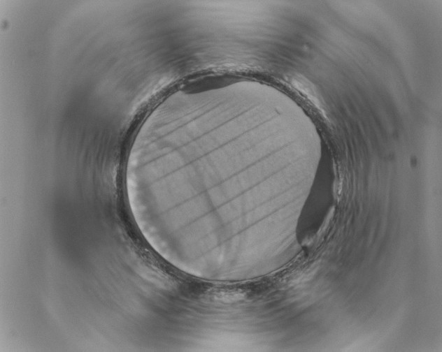 X0000088200491200706121744