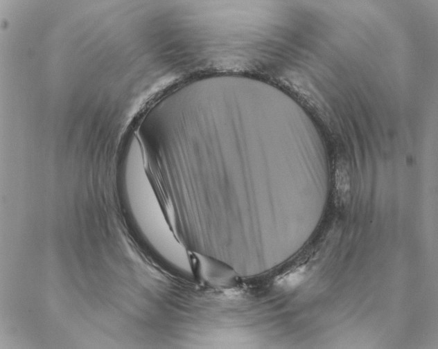 X0000088200492200706121744