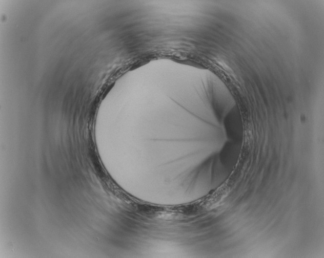 X0000088200504200706121744