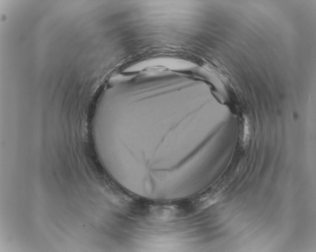 X0000088200508200706121744