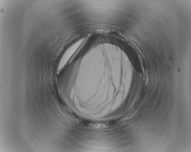 X0000088200512200706121744