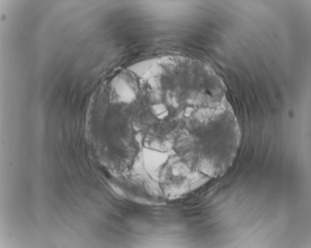 X0000088200519200706121744