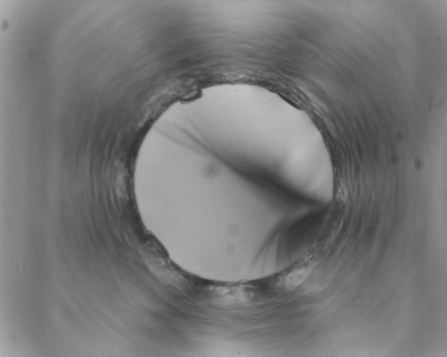 X0000088200524200706121744