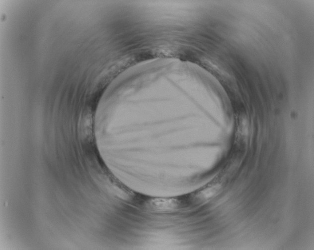 X0000088200526200706121743