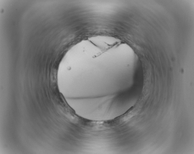 X0000088200528200706121743