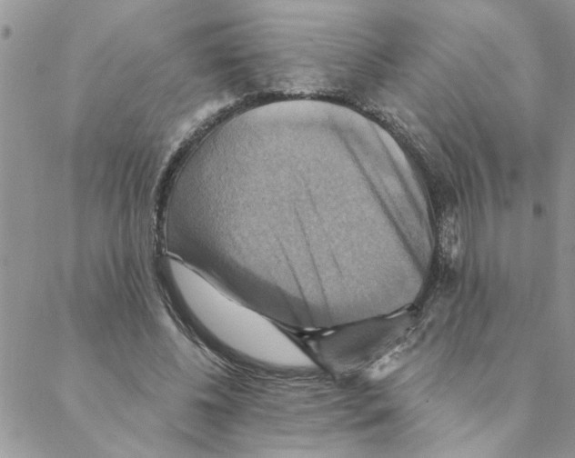 X0000088200540200706121743