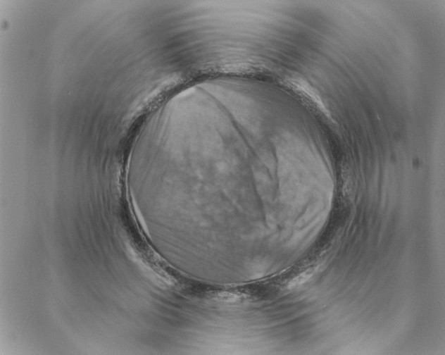 X0000088200542200706121743