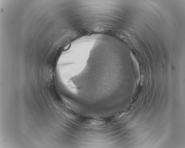 X0000088200555200706121743
