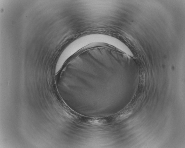 X0000088200558200706121743