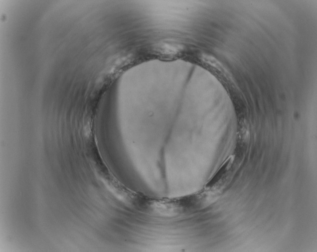 X0000088200568200706121743