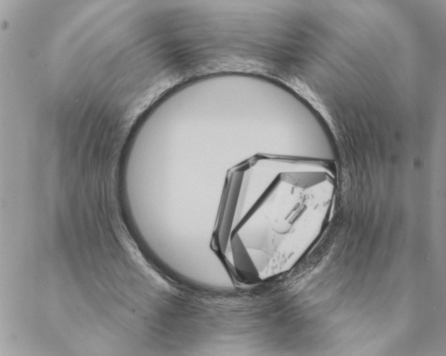 X0000088200581200706121743