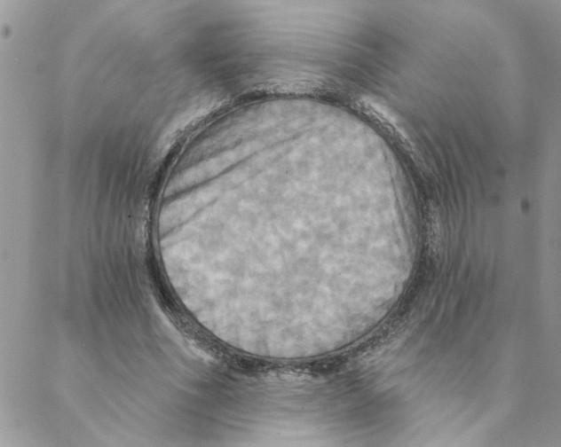 X0000088200586200706121743