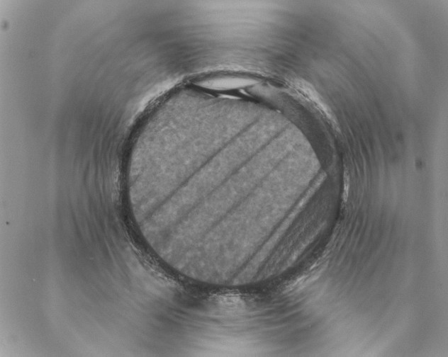 X0000088200588200706121742