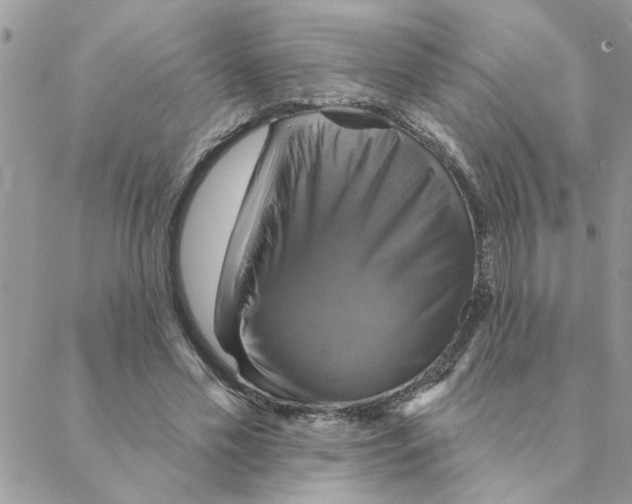 X0000088200589200706121742