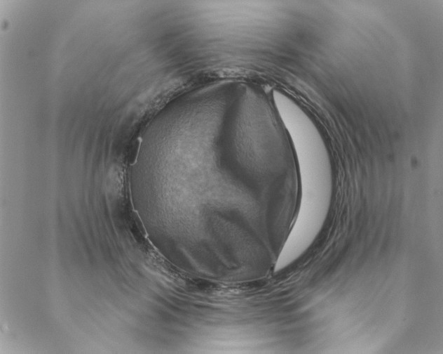 X0000088200604200706121742