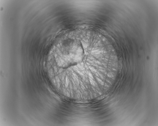 X0000088200615200706121742