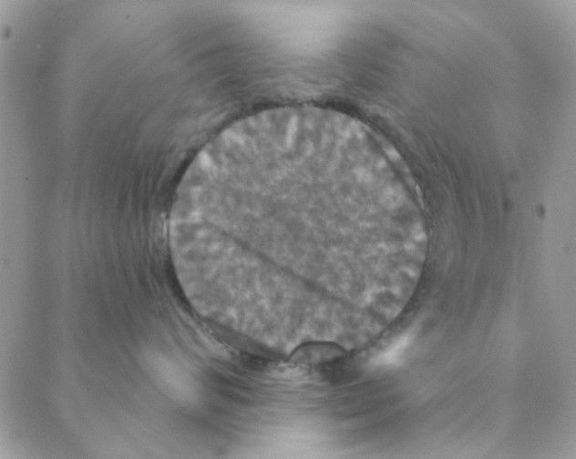 X0000088200624200706121742