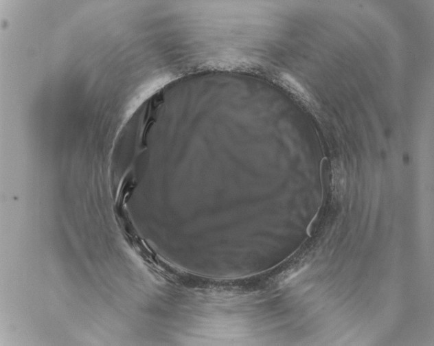 X0000088200626200706121741