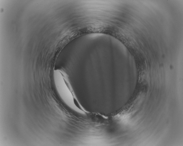 X0000088200647200706121741