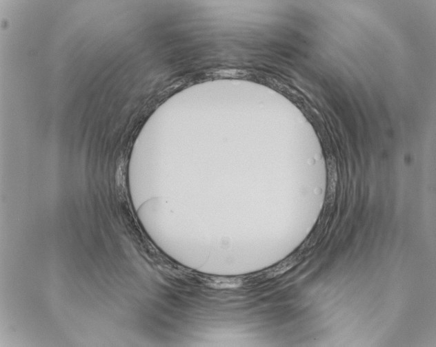 X0000088200651200706121742