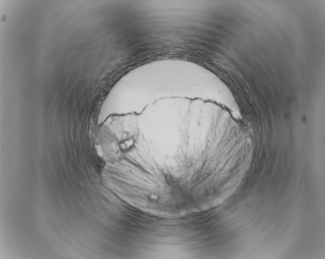 X0000088200654200706121742