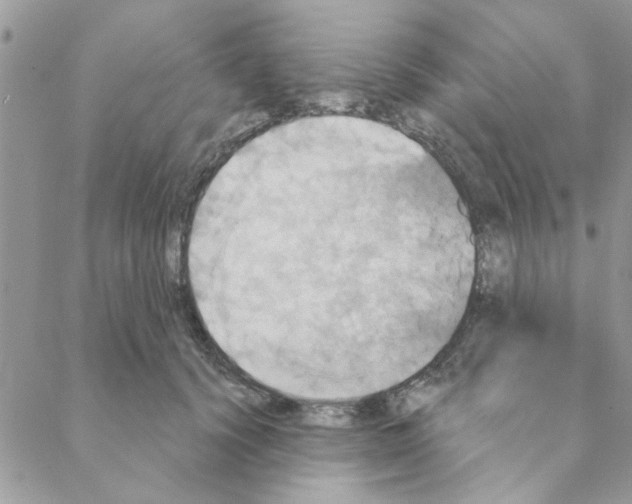 X0000088200656200706121742