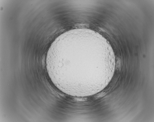 X0000088200662200706121742