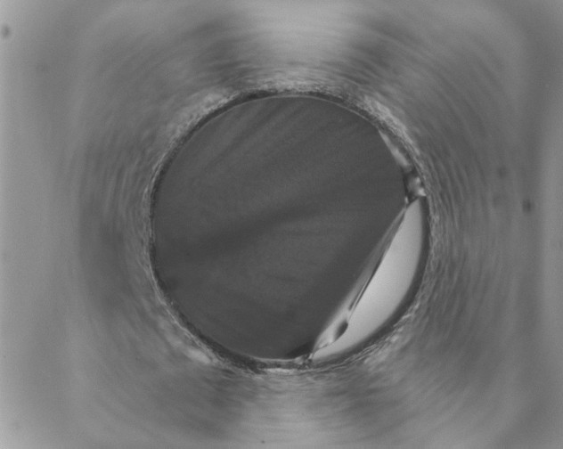 X0000088200673200706121741