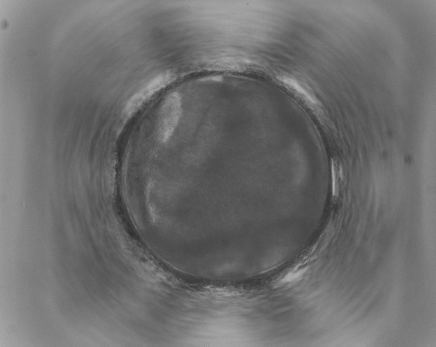 X0000088200675200706121741