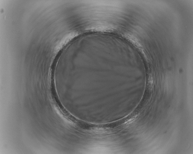 X0000088200678200706121741