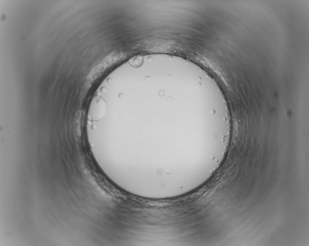 X0000088200682200706121741