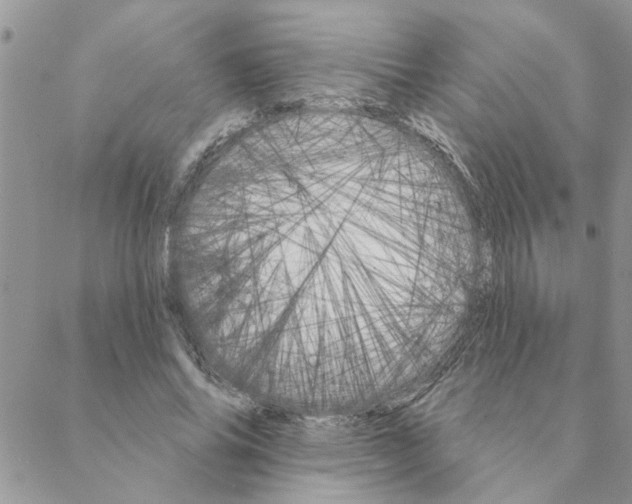 X0000088200686200706121741