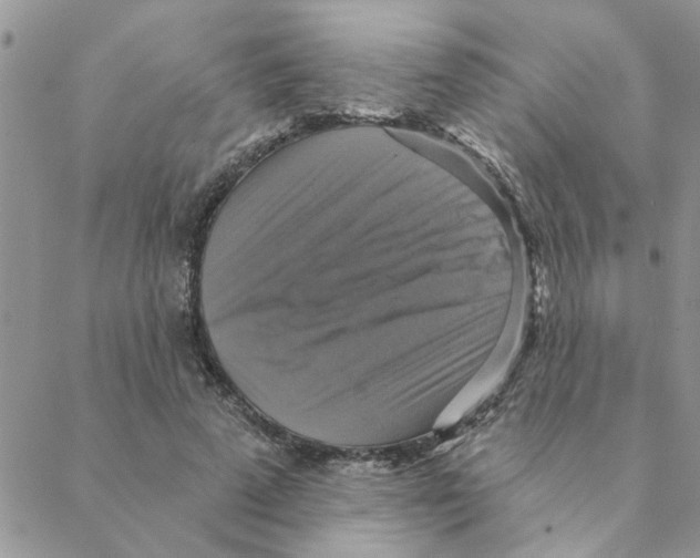 X0000088200689200706121741