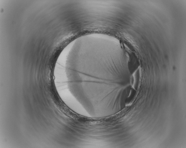 X0000088200692200706121741